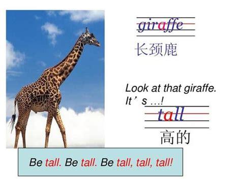 giraffe的復數 giraffe復數為啥加s