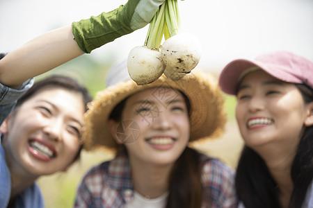 三人少女人类女农业伴侣图片下载