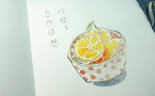 【17期】钢笔淡彩-橙子_绘画_生活_bilibili_哔哩哔哩