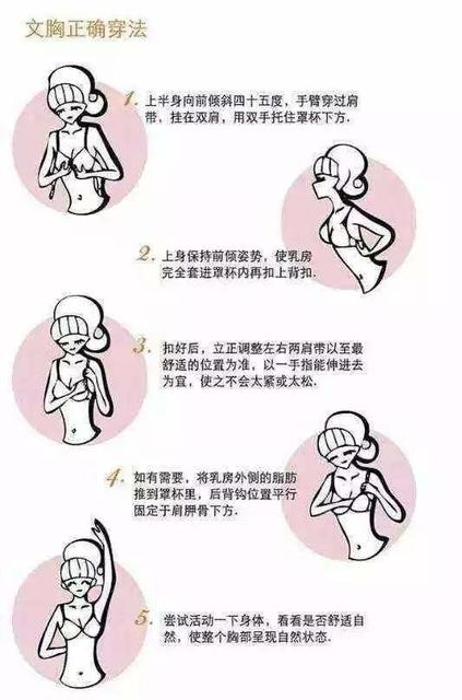 男性的胸有什么作用