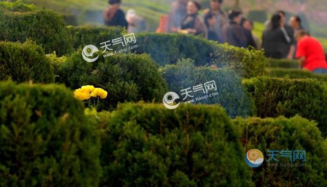 2021年清明节扫墓新闻稿