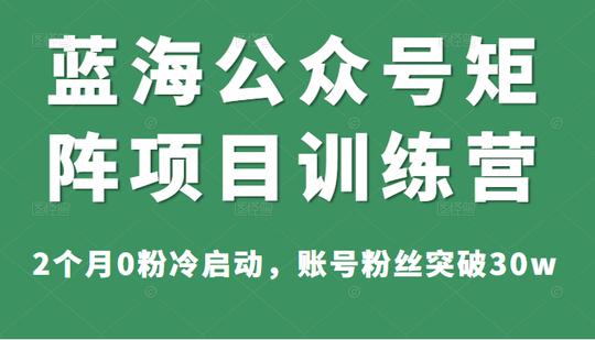 蓝海公众号矩阵项目训练营，2个月0粉冷启动，账号粉丝突破30w，价值1800元