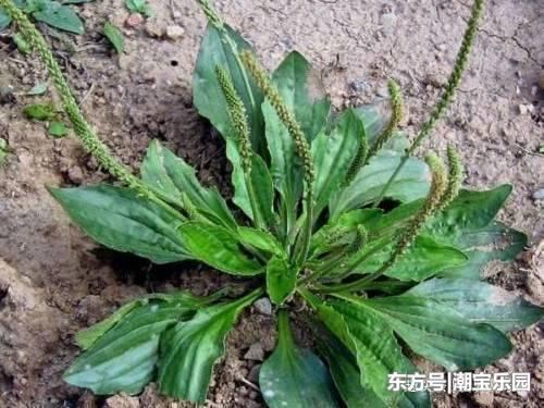 平时怎么预防癌症发生