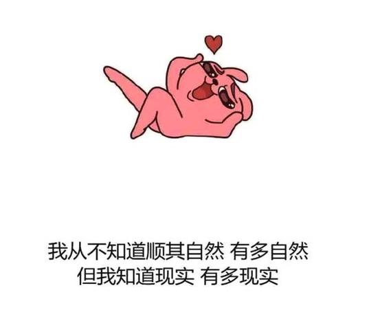 干了这16碗毒鸡汤!继续热爱生活!宇宙最丧,也最正能量!