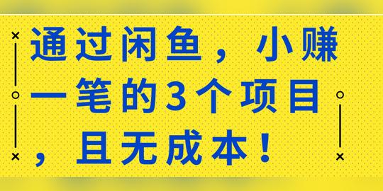 分享一个新手副业，零门槛的小众短视频赚钱项目