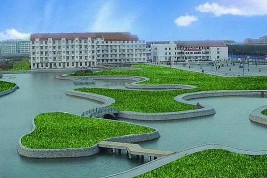 2019年高考二本踩线怎么填志愿踩线填志愿技巧