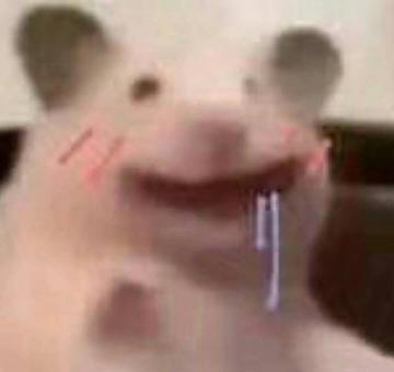 咆哮小老鼠啊出来呀表情包