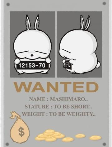 流氓兔搞笑qq表情