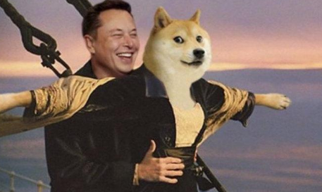 shib币怎么买
