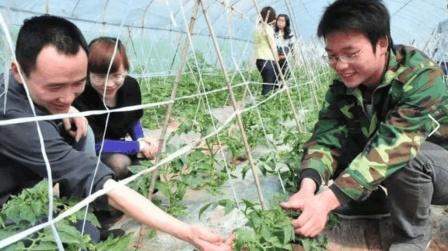 今年4类农村创业项目容易拿贷款,想挣钱的别错过,快了解一下!