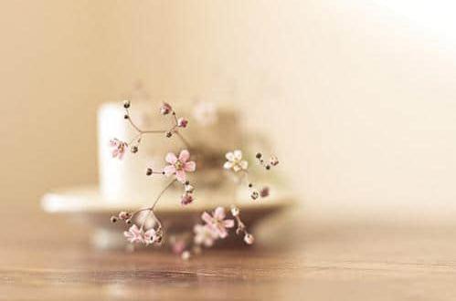 生活累的经典语句