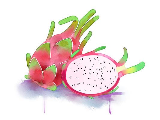 手绘水墨火龙果素材