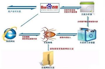 seo蜘蛛有哪些陷阱