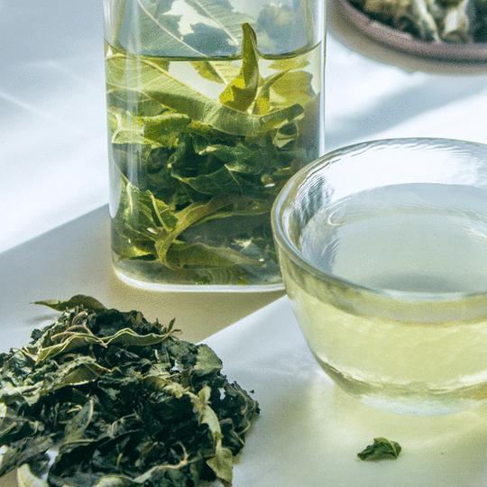 良草essenceofnature草本植物茶—神木「霜桑叶·马鞭草」