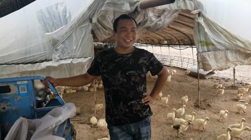 为啥你养鹅不赚钱?农村老哥这样配饲料，每批鹅至少赚30000!
