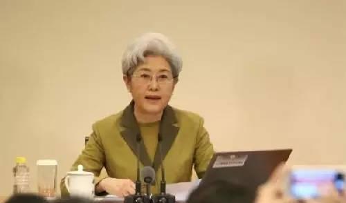 中国"外交天团"爆红网络网友:祖国有这样的外交官,我们就放心了