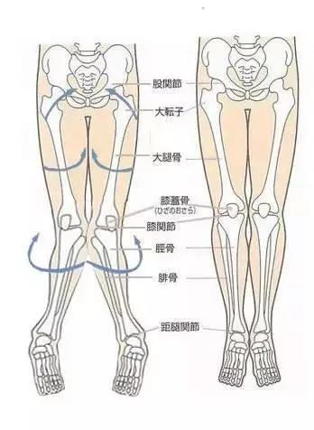 孩子走路内八字是什么原因