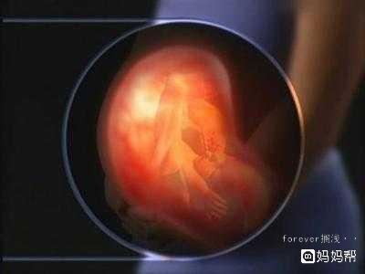 孕期怎么预防胎儿发育迟缓