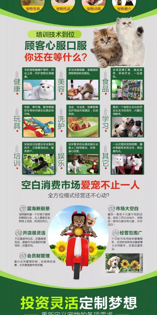 打工不如创业,这家宠物加盟店免加盟费,全程开店扶持,轻松做老板!