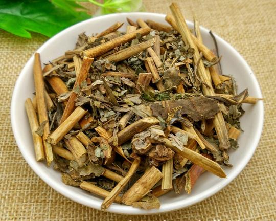 桂平滚山虫哪里能买到参考价格
