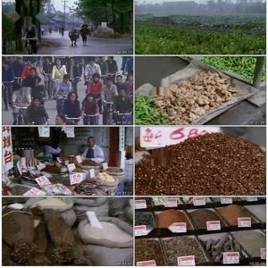 80年代成都四川菜市场生活农产品市场买菜历史老资料视频素材