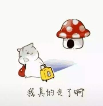 那我走我很丑吗表情包