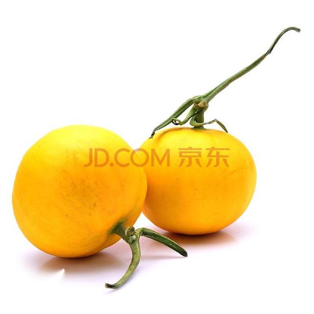 伊丽莎白瓜是什么