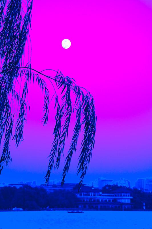 中秋前夕的西湖明月夜