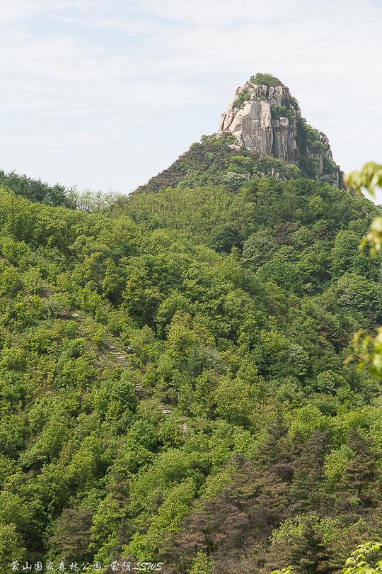 森林栈道环游天然氧吧云蒙峰,登山中路徒步中国瀑布金刚门-蒙山国家森