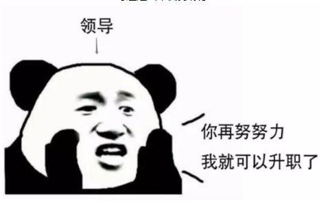 人到中年脱发严重的说说