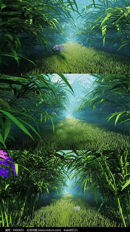 3d森林草丛穿梭背景视频素材