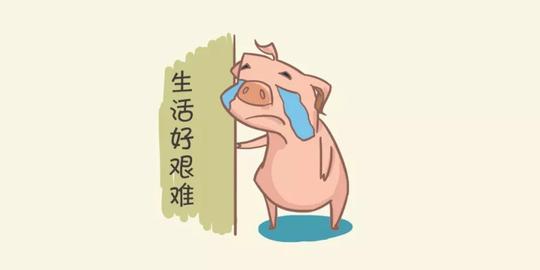 即使你是自己创业或是自由职业人员,也最好自己去缴纳或通过第三方