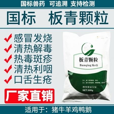 喝板蓝根颗粒能预防流感吗