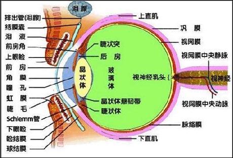 孕妇眼睛干涩怎样回事