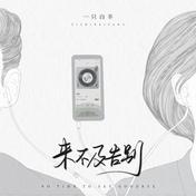 来不及告别(一只白羊)