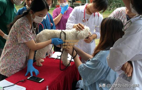 8个家长不看好的“冷门专业”，其实就业率很高，发展潜力也大