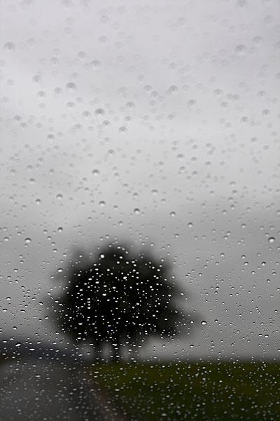 雨天_图片大全—全景创意图库（quanjing.com）中国领先的正版图片视频素材网站