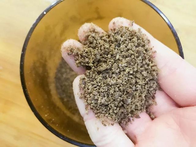 猪肝食谱 补铁长身体