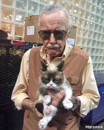 看不我大爽，极度不爽表情包