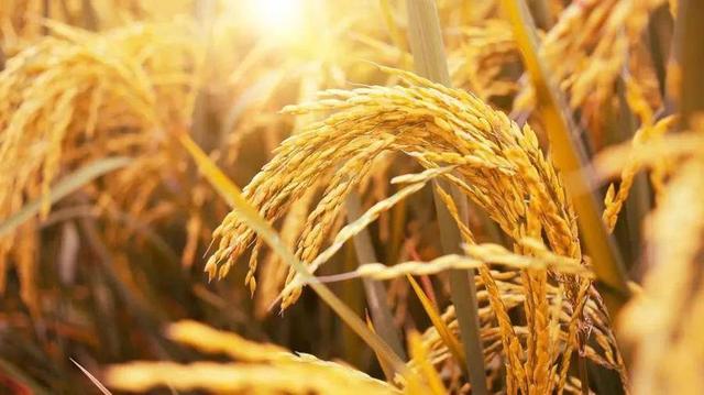 惊艳一句话文案2020