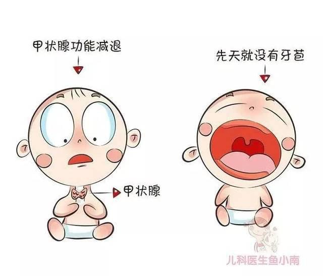 孩子出牙晚是缺钙吗?