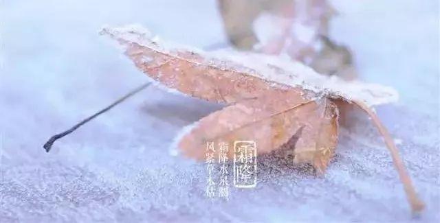 大雪节气送祝福语微信朋友圈句子