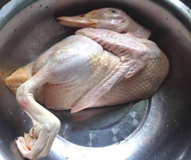 怀孕了能吃鸭肉吗