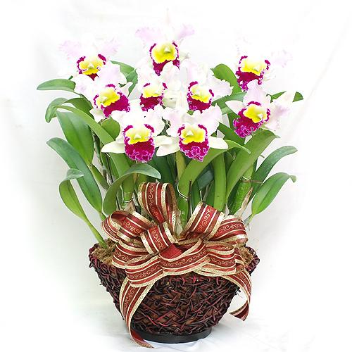 开鲜花店赚钱吗?花店零销售额度多不多?
