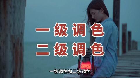 快速学会二级调色，让你的视频更有高级感