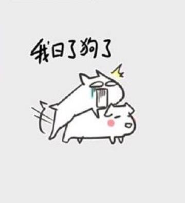 我真是日了狗了搞笑表情包