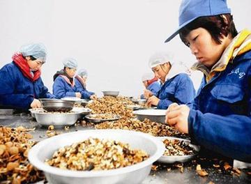 农村创业项目知乎