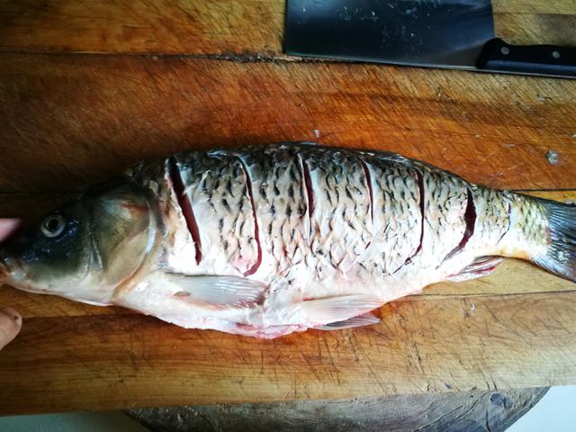 鲤鱼的做法大全集