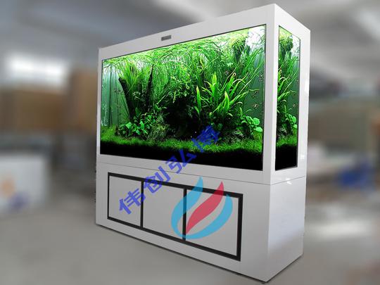 代理,提供生态鱼缸水族箱制作培训,创业赢天下,创业有未来!