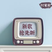 New Boy(房东的猫/陈婧霏)